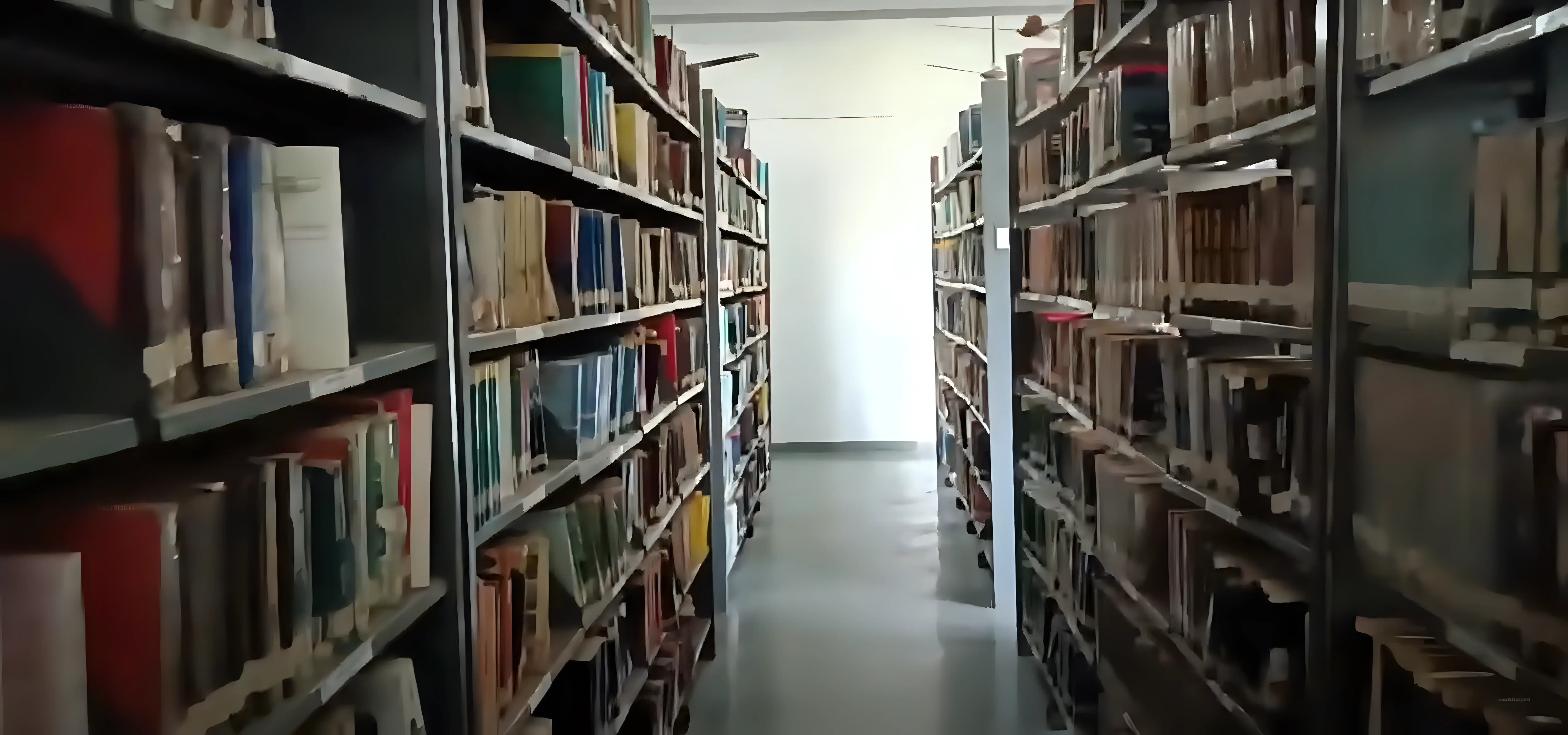 Amrapali University Haldwani library photo 1